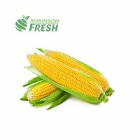 US Grown Fresh Corn Yellow Corns Robinson Fresh MOQ 42-48 COUNT Quick Delivery in US