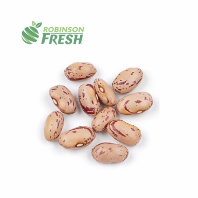 US Grown Fresh Brown Beans Pinto Beans Robinson Fresh MOQ 50 LBS Quick Delivery in US