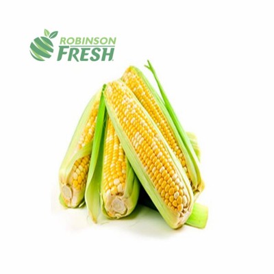 US Grown CORN Bicolor Corn Robinson Fresh MOQ 42-48 COUNT Quick Delivery in US