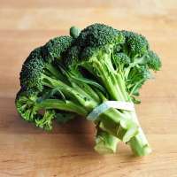 Fresh Broccoli -Fresh Green Brocolli-Frozen fresh broccoli