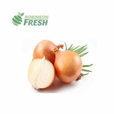 US Grown Vegetables YELLOW JUMBO Onion Robinson Fresh MOQ 50 LBS Quick Delivery in US