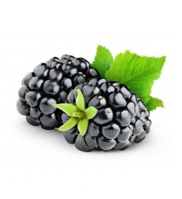 US Grown BLACKBERRIES Fresh Fruit Berries Robinson Fresh MOQ 6 Ounce Quick Delivery in US